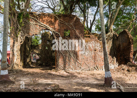 La rovina di edificio abbandonato coperto con radici sulla isola di Ross. Isole Andamane, India. Abbandonate le rovine nella giungla Foto Stock
