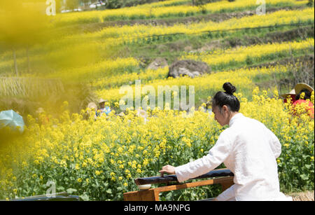 Jiande cinese della provincia dello Zhejiang. 31 Mar, 2018. Un artista Guqin esegue durante un concerto tenuto in un cole di campo dei fiori in Qiantan township di Jiande, est della Cina di Provincia dello Zhejiang, Marzo 31, 2018. Il turismo locale competente è utilizzando la città di cole fiori e a schiera campi di fattoria come una risorsa del turismo per rilanciare l'economia locale. Credito: Weng Xinyang/Xinhua/Alamy Live News Foto Stock