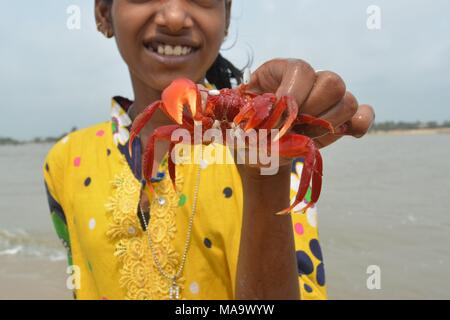 Mandarmani , West Bengal, India. Il 30 marzo 2018. Granchio rosso a Mandarmani. In primo luogo alla confluenza del fiume Jalda presso la Baia del Bengala noto come Mohana.s Credito: Rupa Ghosh/Alamy Live News. Foto Stock