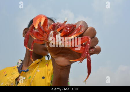 Mandarmani , West Bengal, India. Il 30 marzo 2018. Granchio rosso a Mandarmani. In primo luogo alla confluenza del fiume Jalda presso la Baia del Bengala noto come Mohana.s Credito: Rupa Ghosh/Alamy Live News. Foto Stock
