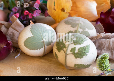 Le uova di pasqua con fresche foglie verdi attaccati, pronto per essere tinto con bucce di cipolla Foto Stock