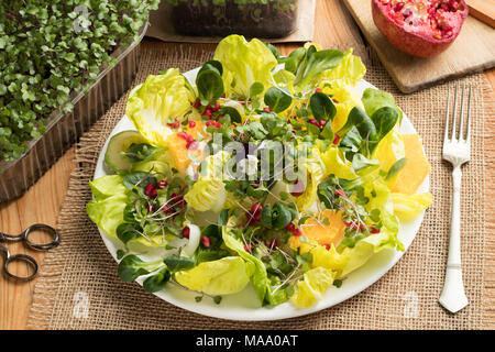 Insalata di verdure con fresco microgreens, lattuga, mais insalata di avocado, arancione e melograno Foto Stock