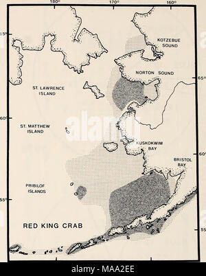 . La parte orientale del Mare di Bering ripiano : oceanografia e risorse / a cura di Donald W. cofano e John A. Calder . Figura 61-4. Distribuzione di red king crab (Paralithodes camtschatica) nella parte orientale del Mare di Bering. Oscuramente porzioni ombreggiate indicano le zone coerente di abbondanza. La pesca per blue granchio reale (P. platypus) compone il 17 percento della parte orientale del Mare di Bering granchio reale delle catture nel 1974 ma non deve superare i dodici per cento in altri anni. La distribuzione di blu re granchio nella parte orientale del Mare di Bering tende ad essere associata con off-shore zone vicine isole (Fig. 61-5). Questo contrasta nettamente con il distribut Foto Stock