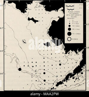 . La parte orientale del Mare di Bering ripiano : oceanografia e risorse / a cura di Donald W. cofano e John A. Calder . 160° Figura 40-22. Distribuzione pelagiche di nero zampe Kitti- scie -aria e spedire le indagini: giugno-agosto. La figura 40-23. Distribuzione pelagiche di nero zampe Kitti- scie -aria e spedire le indagini: September-November. Foto Stock