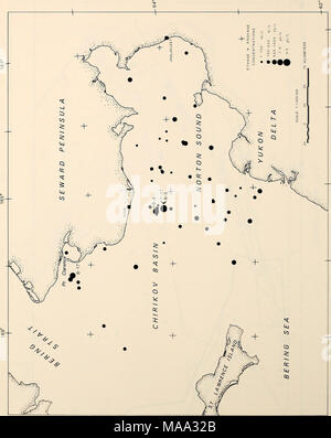 . La parte orientale del Mare di Bering ripiano : oceanografia e risorse / a cura di Donald W. cofano e John A. Calder . 416 Foto Stock