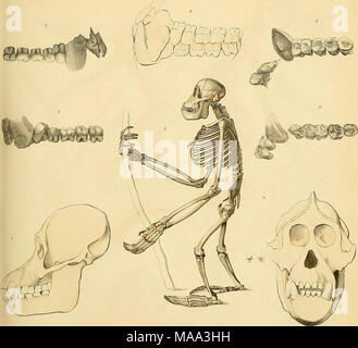 . Edinburgh ufficiale di storia naturale e delle scienze fisiche . Foto Stock