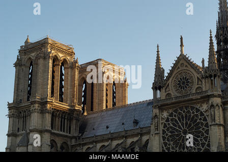 La cattedrale di Notre Dame a Sunrise, Parigi, Francia Foto Stock