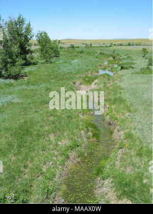 . Indagini acquatici e valutazione della Slim Buttes regione di Harding e la Butte Co., SD . Figura 44. Sud forcella Moreau fiume #1 (AES D005) piscina vegetativa habitat, guardando dal ponte -^&amp; ^^-^'^^ m W^^^lll^ % '"f â .* #- Foto Stock