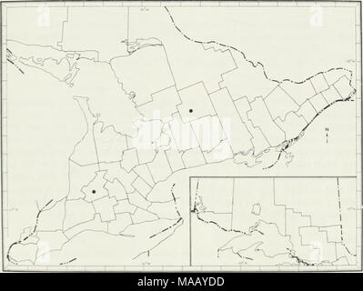 . I lombrichi (lumbricidae e sparganophilidae) dell' Ontario . Fig. 37 Il noto Ontario distribuzione di Octolasion cyaneum 107 Foto Stock