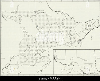 . I lombrichi (lumbricidae e sparganophilidae) dell' Ontario . Fig. 33 Il noto Ontario distribuzione di lombrico rubellus. 97 Foto Stock