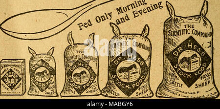 . Il dott. Hess stock prenota : un trattato scientifico su cavalli, bovini, ovini, suini e pollame . 7 lbs. iZ Lbs. 25 libbre. 5© Lbs. lOOLbs. Il DR. HESS STOCK CIBO È IL COMITATO SCIENTIFICO COMPOSTO PER CAVALLI CURE HT nascondi legato, disturbi dell'umore, indigestione, graffi I e stitichezza. Queste condizioni sono a causa di un im- poverished condizioni* Il sistema non è in grado di assumere e assimilare gli elementi necessari che formano i diversi costituenti del corpo. Il DR. HESS magazzino alimentare in una sola volta corregge la digestione, tonifica il sistema, migliora la circolazione e alimenta i lassativi necessaria a provocare le viscere per Foto Stock