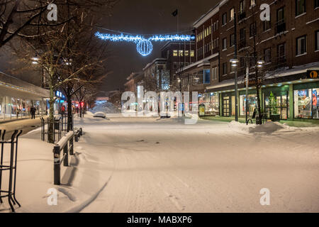 Viaggio in treno da Lulea a Stoccolma, Svezia Foto Stock