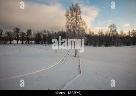 Viaggio in treno da Lulea a Stoccolma, Svezia Foto Stock