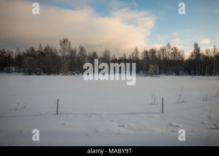Viaggio in treno da Lulea a Stoccolma, Svezia Foto Stock