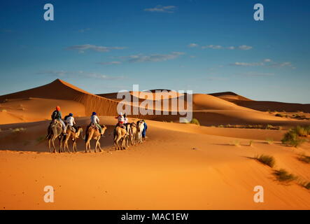 Deserto del Sahara berberi Berber tour di trekking con i cammelli Foto Stock