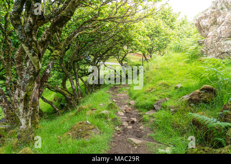 Il famoso Fairy Glen, situato sulle colline sopra il villaggio di Uig sull'Isola di Skye in Scozia. Foto Stock