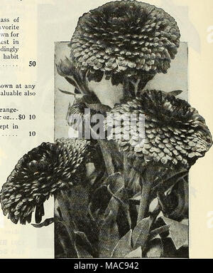 . Dreer dell elenco di mezza estate 1927 . Hyacinth-Flowered gigante o migliorato Imperatrice Candytuft re Calendulas Candytuft (Iberis Umbellata) l annuale Candytufts sono indispensabili per il taglio. Tutte le varietà sembrano migliori in letti o masse. Le sementi possono essere seminate in qualsiasi momento durante il periodo estivo, fioritura entro poche settimane. Hardy e facile da coltivare. 1 piede. 1751 Carmine. Bright carmine rose. 1752 Crimson. Ricco di ombra profonda. Albida 1755. Bianco puro. 1756 Carne-rosa. Delicato rosa. 1757 lavanda. Delicate tonalità di colore rosato-lavanda. 1758 Rose cardinale. Profondo brillante roseo-rosso; uno dei più efficaci per biancheria da letto. Pric Foto Stock