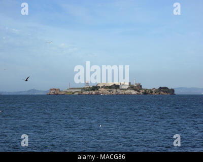 Isola di Alcatraz con i gabbiani in volo con il faro e il carcere in vista su un bel giorno nella Baia di San Francisco. Marzo 16, 2010. Foto Stock