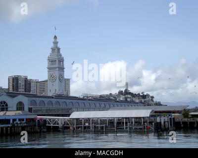 San Francisco - Marzo 25, 2010: la Porta di San Francisco Ferry Building, Coit Tower, paesaggio urbano del centro cittadino di San Francisco in un giorno chiaro con uccelli in th Foto Stock