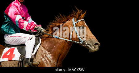 Jokey su un cavallo purosangue ritratto isolato su sfondo nero Foto Stock