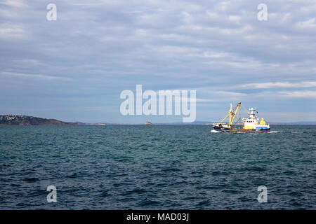 Una barca da pesca attraversando Torbay visto dalla piattaforma di cemento a Berryhead vicino a Brixham Devon England Regno Unito GB Foto Stock
