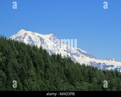 Mt Rainier NP in WA Foto Stock