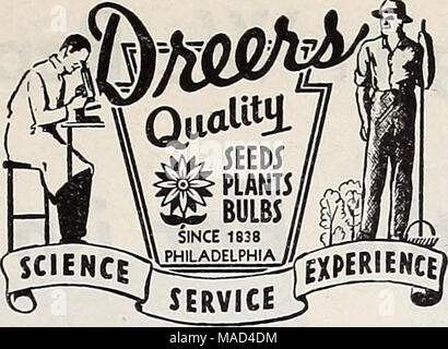 . Dreer del catalogo all'ingrosso per fiorai e giardinieri di mercato : autunno 1941 Edition . Acquistare con fiducia quando si acquista da DREER leader dal 1838 Henry A. Dreer, Inc. è stata fondata da oltre un secolo fa e costantemente sviluppata sulla base del principio della "soddisfazione del cliente", che ha richiesto la merce di qualità e prezzi di destra con la tempestiva e un servizio attento. /^ 1'i. Solo robusto, piante sane, bulbi e testato le sementi ol wU.ailiy lignaggio assicurato sempre vengono spediti dai nostri magazzini. Â Q â ¢ sempre i prezzi più bassi possibile coerente con la * nCSSâquality manteniamo. SÂ" invitiamo Foto Stock