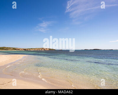 Penguin Island Conservation Park, Australia occidentale Foto Stock