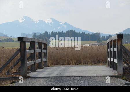 Ponte di legno su un ruscello vicino al Lago Hopfensee nell'Allgaeu, Baviera, Germania Foto Stock