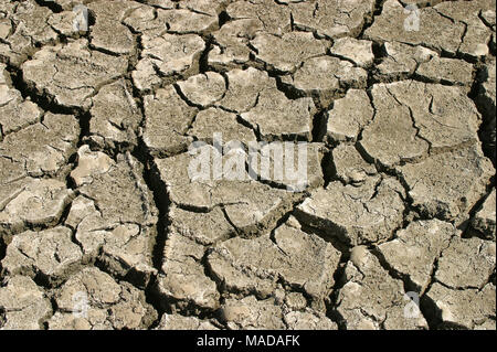 Essiccato incrinato terreno deserto closeup Foto Stock