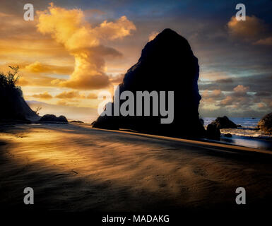 Nebbia di mattina presso la spiaggia di Porto Orgord, Oregon Foto Stock