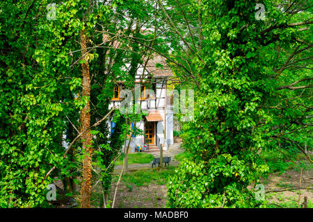 Graticcio casa unifamiliare, sobborgo di foresta verde, alberi, estate, Strasburgo, Alsazia, Francia, Europa Foto Stock