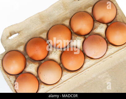 Dieci marrone uova di pollo in una scatola di cartone Foto Stock