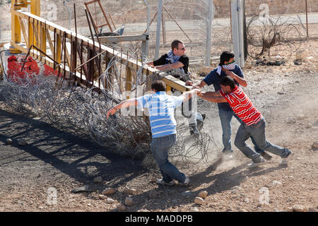 Bilin, Palestina, Dicembre 3, 2010: dimostranti sono in movimento del cancello del recinto di sicurezza nel corso di manifestazioni settimanali palestinese contro la confisca della terra Foto Stock