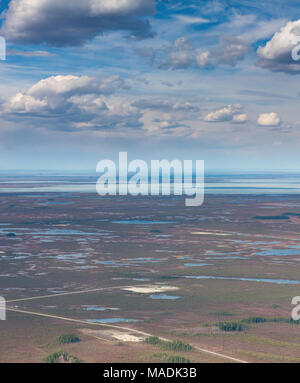 Campo dell'olio su Swamp, vista dall'alto Foto Stock