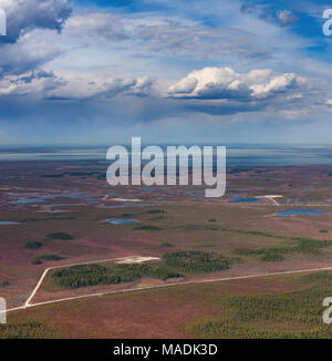 Campo dell'olio su Swamp, vista dall'alto Foto Stock