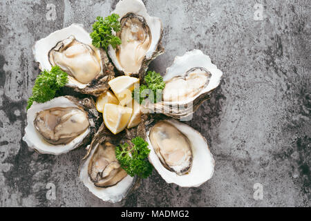 Aprire le ostriche, limone su grigio tavolo di pietra. Mezza dozzina. Con spazio di copia Foto Stock