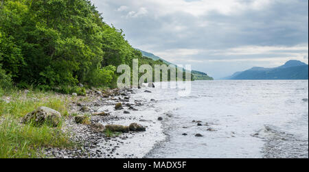 Sulla riva del lago di Loch Ness, nelle Highlands scozzesi, a sud-ovest di Inverness. Foto Stock