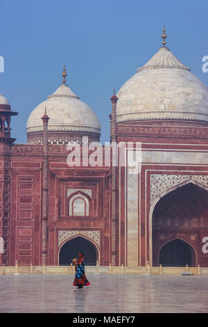 Vista ravvicinata del jawab in Taj Mahal complessa, Uttar Pradesh, India. Taj Mahal è stato designato come un Sito Patrimonio Mondiale dell'UNESCO nel 1983. Foto Stock