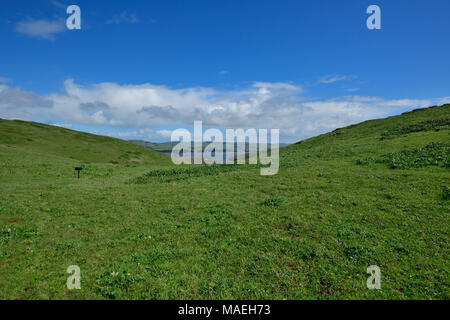 Costa del Pacifico e punto Tomale Trail Foto Stock