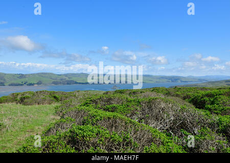 Costa del Pacifico e punto Tomale Trail Foto Stock