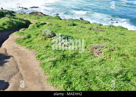 Costa del Pacifico e punto Tomale Trail Foto Stock