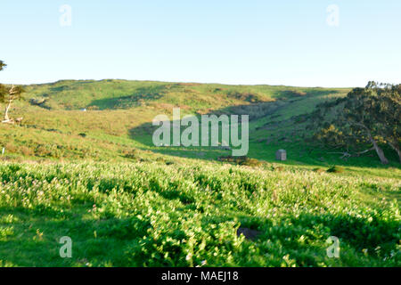 Splendido punto Tomale Trail Foto Stock