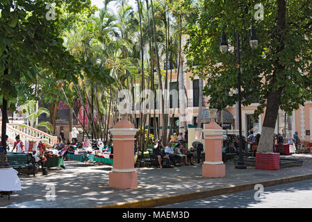 L'Hidalgo Park nel centro storico di Merida, Messico Foto Stock