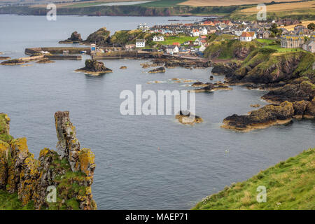 Vista verso St Abbs da St Abb di testa, Berwickshire, Scozia Foto Stock