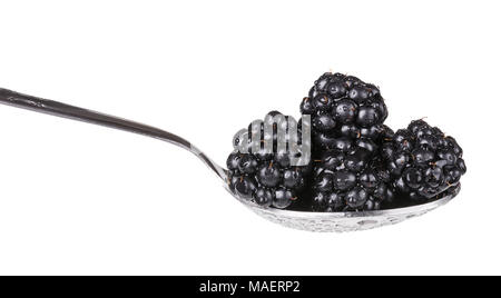 Blackberry pila su un cucchiaio. Close-up di appena lavato frutti di bosco pieno di vitamine e antiossidanti in inox lucido cucchiaio. Foto Stock
