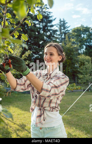 La donna nel controllo del giardino di alberi da frutto Foto Stock