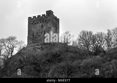 Un'immagine monocromatica di Castell Dolwyddelan vicino Moel Siabod, Snowdonia Foto Stock