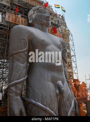 Mahamastakabhisheka festival - l'unzione del Bahubali Gommateshwara statua si trova a Shravanabelagola in Karnataka, India. Si tratta di un importante Foto Stock