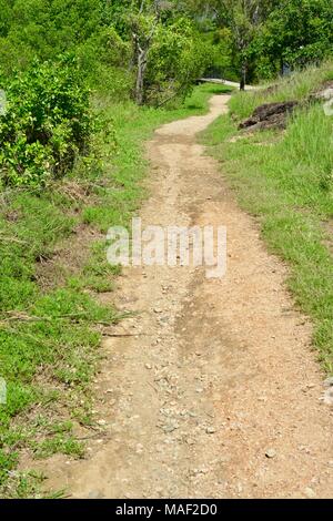 Shelly Cove trail a Cape Pallarenda Conservation Park Queensland Australia Foto Stock